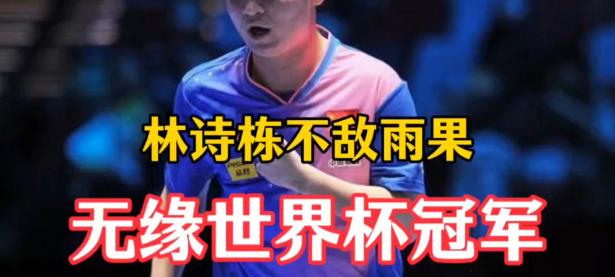 世界杯冠军队员受伤，或将无缘比赛的简单介绍