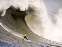 乒乓球赛场焦点！德国队对阵克罗地亚队，体能极限考验，赛场硬仗一触即发