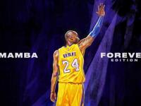 网球赛场焦点！中国队对阵德国队，主力缺阵，替补球员挺身而出