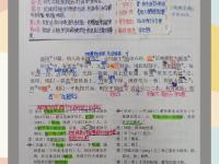 包含海港传射建功，那不勒斯新星横空出世，场边球探频频记笔记的词条